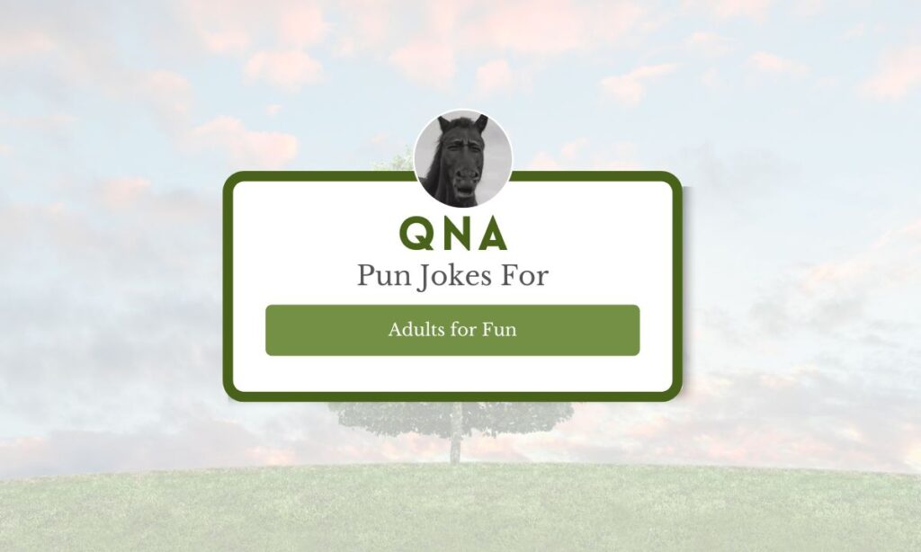  Pun Jokes For Adults 