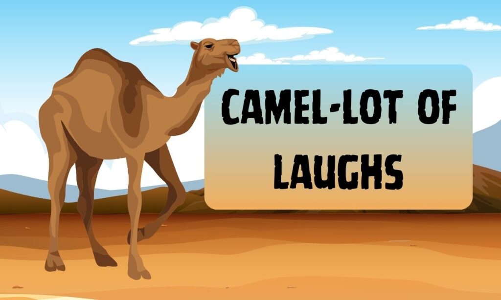 Desert Jokes