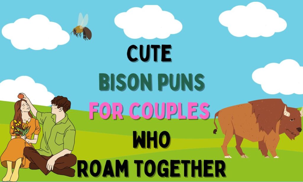 cute-bison-puns-for-couples-who-roam-together