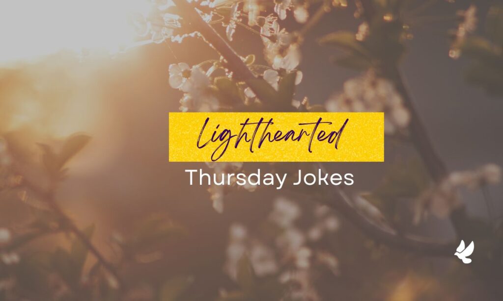 lighthearted-thursday-jokes
