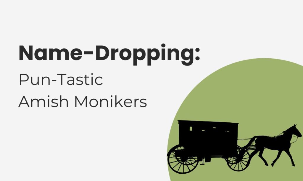 name-dropping-pun-tastic-amish-monikers