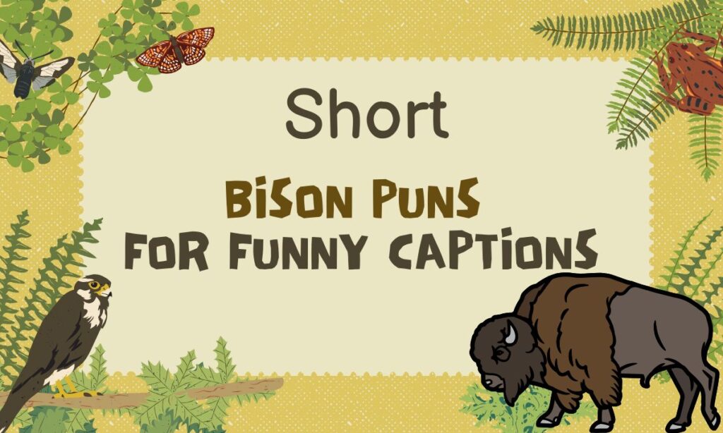 Bison Puns