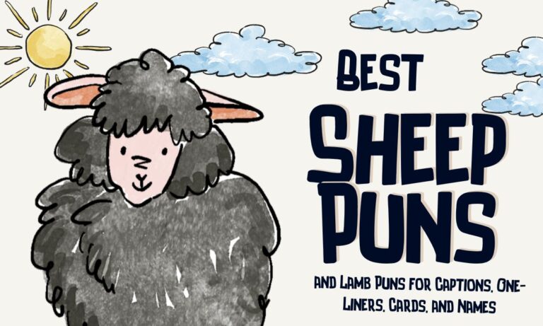 best-sheep-puns-and-lamb-puns-for-captions-one-liners-cards-and-names