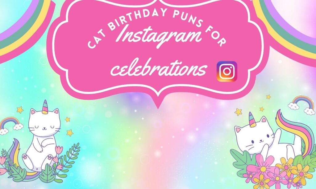 cat-birthday-puns-for-instagram-celebrations