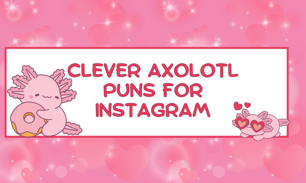 clever-axolotl-puns-for-instagram