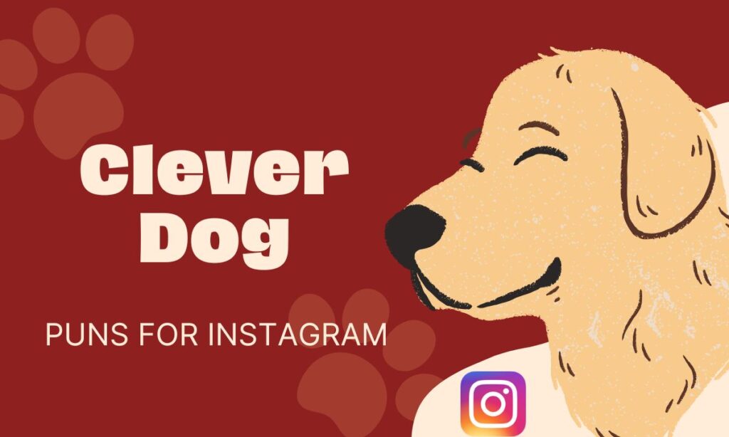 clever-dog-puns-for-instagram