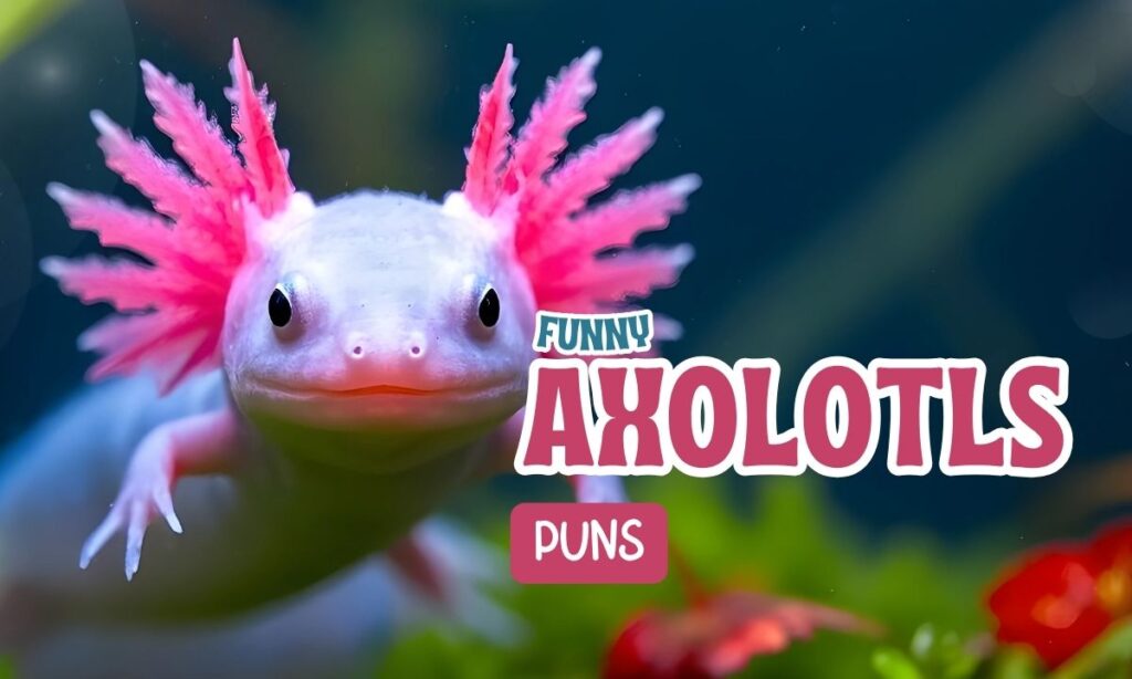 Axolotl Puns