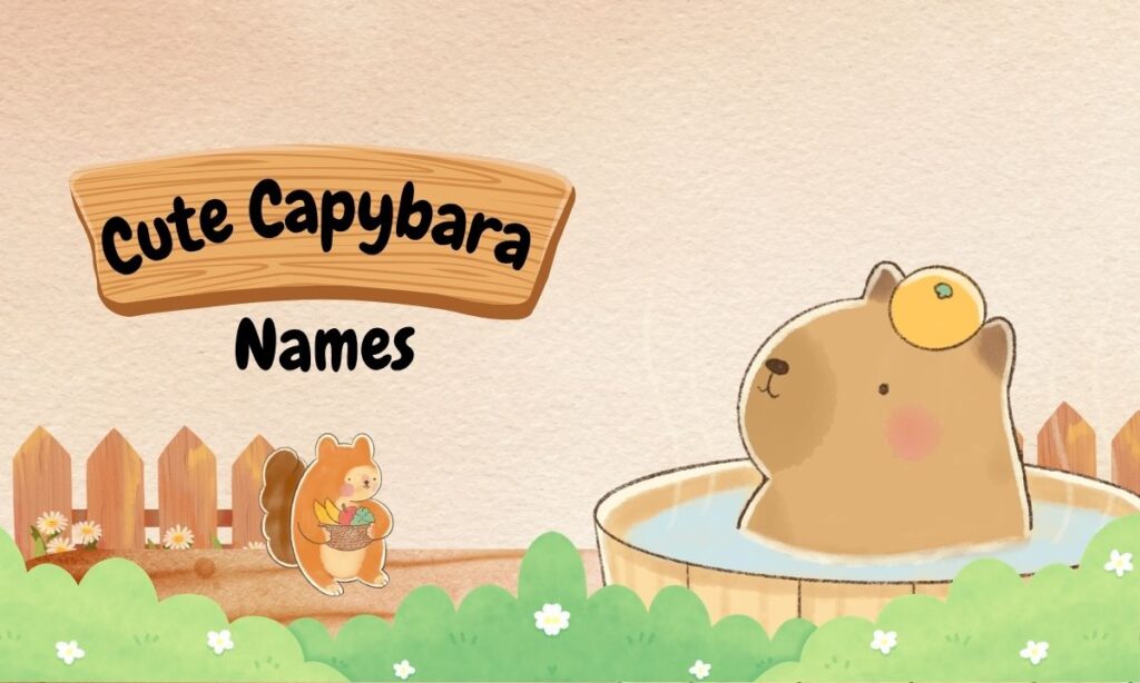 cute-capybara-names