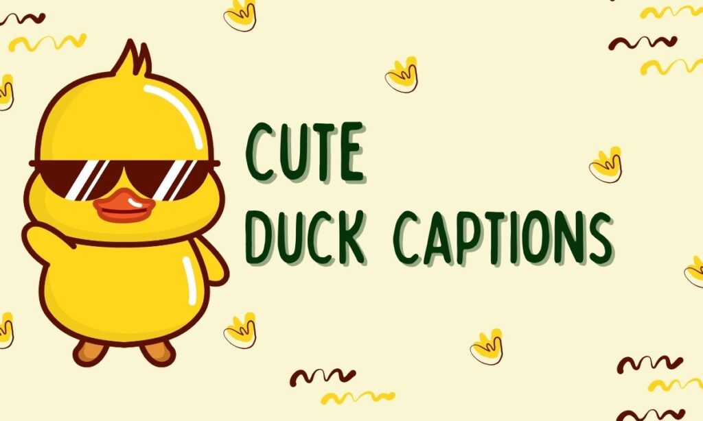 Duck Puns