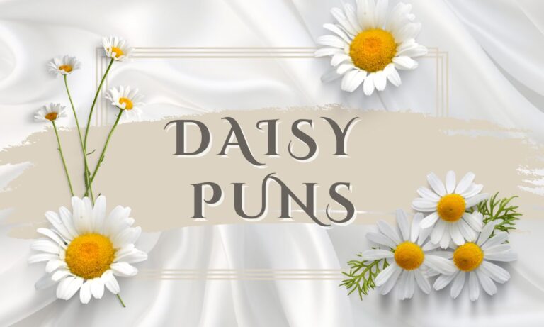 daisy-puns