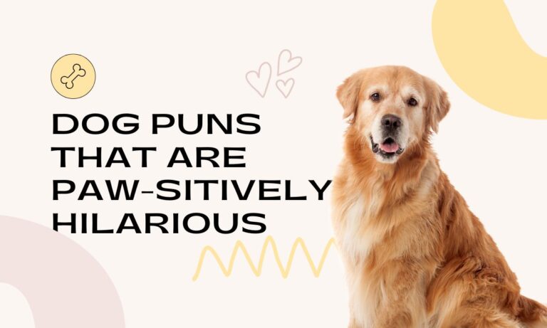 dog-puns-that-are-paw-sitively-hilarious