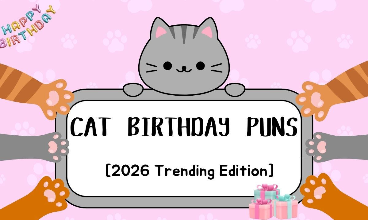 hilarious-cat-birthday-puns-2026-trending-edition