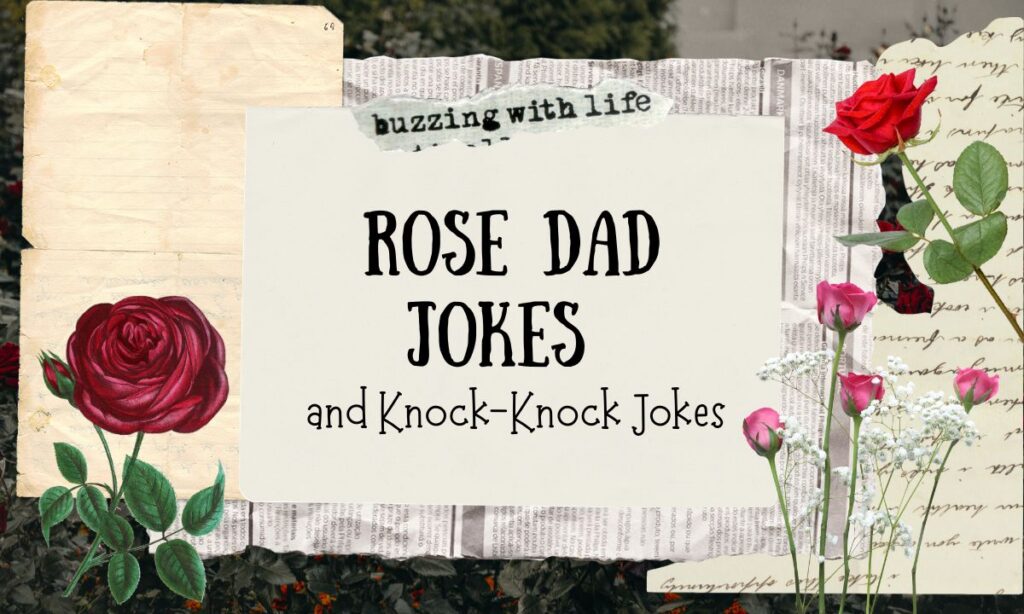 rose-dad-jokes-and-knock-knock-jokes