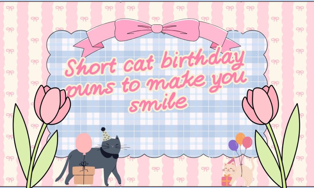 Cat Birthday Puns