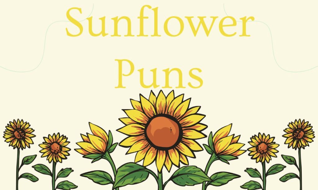 sunflower-puns