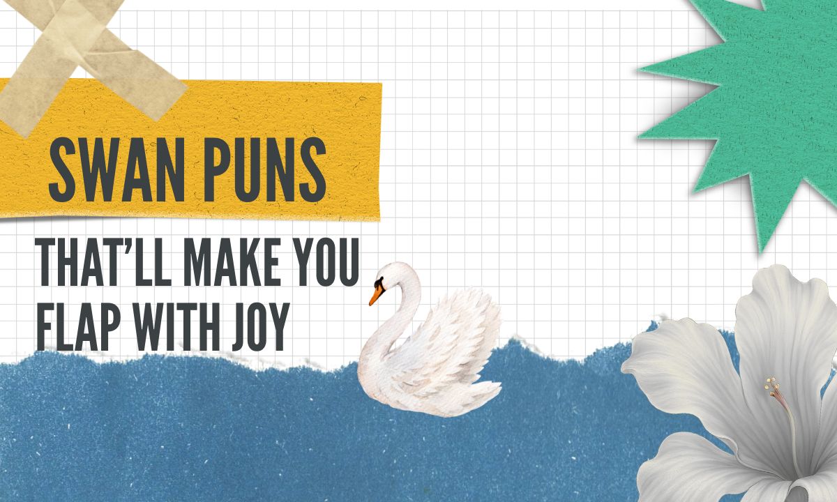 swan-puns-thatll-make-you-flap-with-joy
