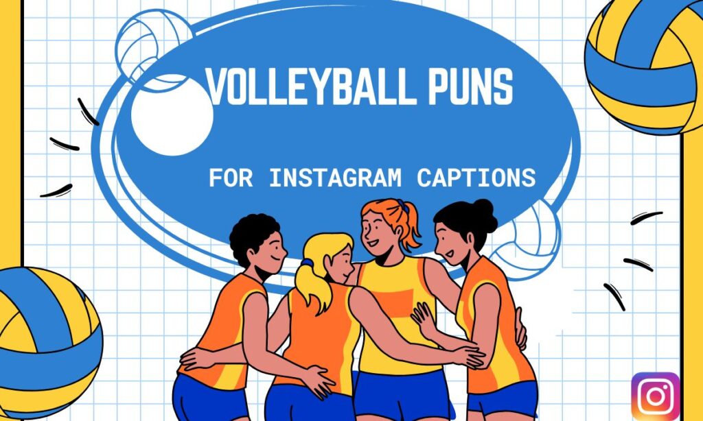 Volleyball Puns