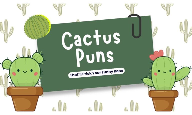 cactus-puns-thatll-prick-your-funny-bone