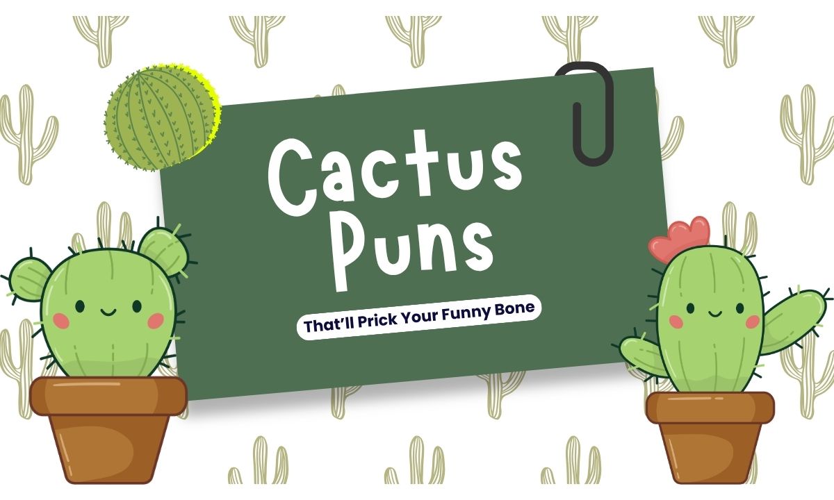 cactus-puns-thatll-prick-your-funny-bone