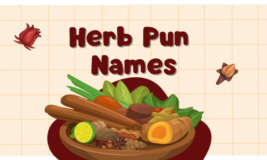herb-pun