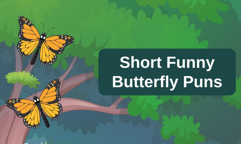 short-funny-butterfly-puns