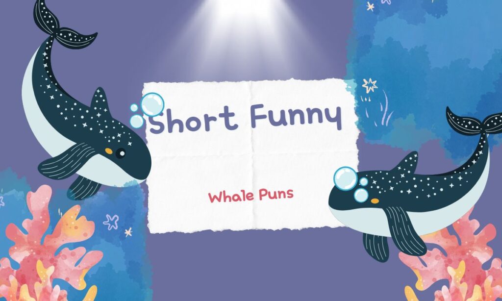 short-funny-whale-puns