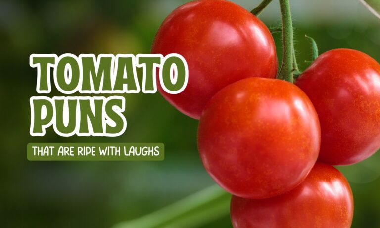 tomato-puns-that-are-ripe-with-laughs