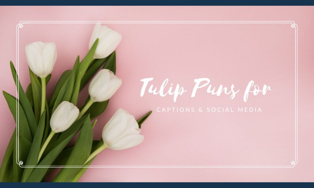 tulip-puns-for-captions-and-social-media