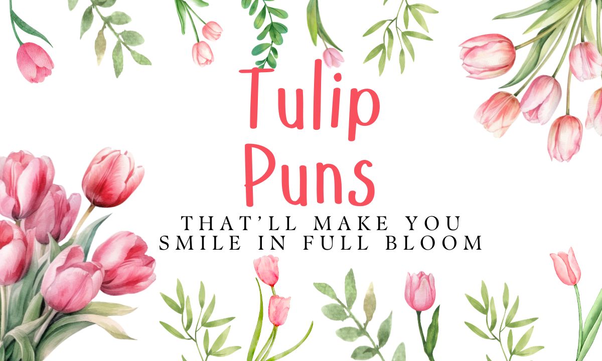 tulip-puns-thatll-make-you-smile-in-full-bloom